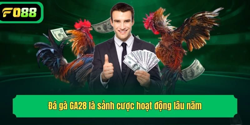 Đá gà GA28 là sảnh cược hoạt động lâu năm
