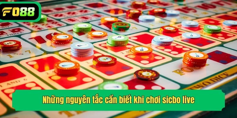 Những nguyên tắc cần biết khi chơi sicbo live